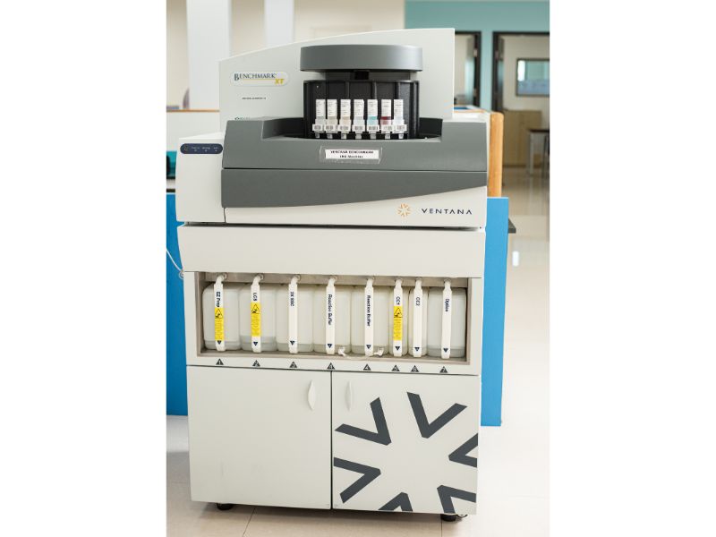 Immunohistochemistry